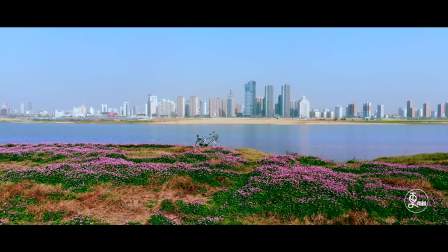 那些刷屏王勃、李白"朋友圈"的南昌风景