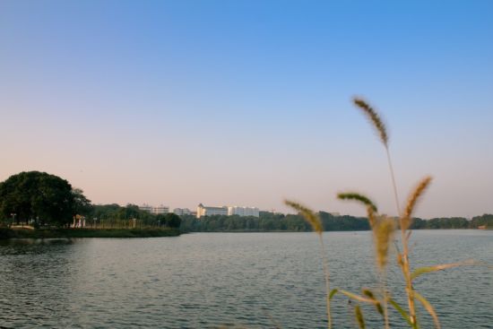 赏景避暑不走远 游南昌最凉爽的公园(2)