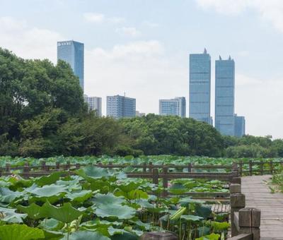 艾溪湖湿地公园,是江西省南昌市,典型城市的天然湿地